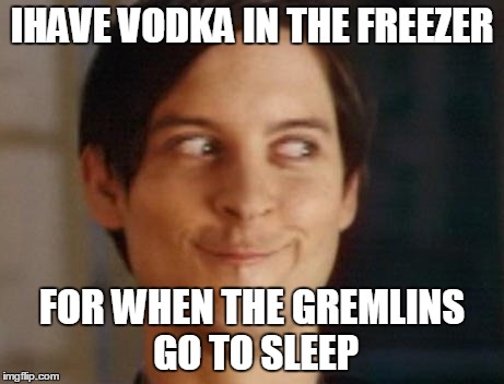 Spiderman Peter Parker | IHAVE VODKA IN THE FREEZER FOR WHEN THE GREMLINS GO TO SLEEP | image tagged in memes,spiderman peter parker | made w/ Imgflip meme maker