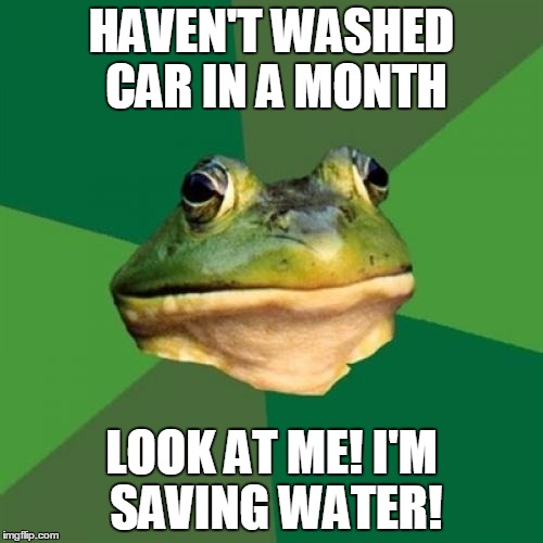 Foul Bachelor Frog Meme | HAVEN'T WASHED CAR IN A MONTH LOOK AT ME! I'M SAVING WATER! | image tagged in memes,foul bachelor frog | made w/ Imgflip meme maker