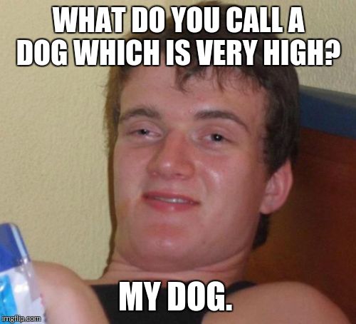 10 Guy Meme | WHAT DO YOU CALL A DOG WHICH IS VERY HIGH? MY DOG. | image tagged in memes,10 guy | made w/ Imgflip meme maker