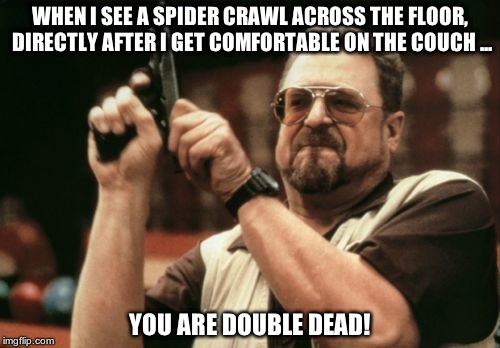 Am I The Only One Around Here | WHEN I SEE A SPIDER CRAWL ACROSS THE FLOOR, DIRECTLY AFTER I GET COMFORTABLE ON THE COUCH ... YOU ARE DOUBLE DEAD! | image tagged in memes,am i the only one around here | made w/ Imgflip meme maker