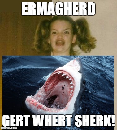 Gert Whert Sherk! | ERMAGHERD GERT WHERT SHERK! | image tagged in ermagherd,ermagherd girl,great white shark,shark,funny,gert whert sherk | made w/ Imgflip meme maker