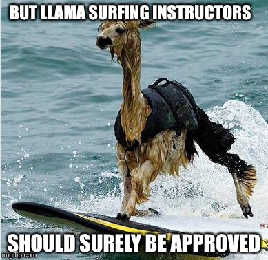 This Llama is surfing | BUT LLAMA SURFING INSTRUCTORS SHOULD SURELY BE APPROVED | image tagged in this llama is surfing | made w/ Imgflip meme maker