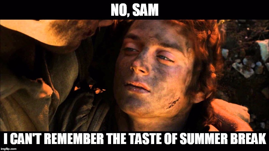 NO, SAM I CAN'T REMEMBER THE TASTE OF SUMMER BREAK | image tagged in AdviceAnimals | made w/ Imgflip meme maker