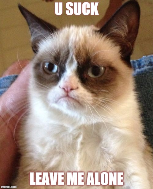 Grumpy Cat Meme | U SUCK LEAVE ME ALONE | image tagged in memes,grumpy cat | made w/ Imgflip meme maker