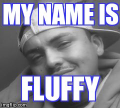 MY NAME IS  FLUFFY | image tagged in fr | made w/ Imgflip meme maker