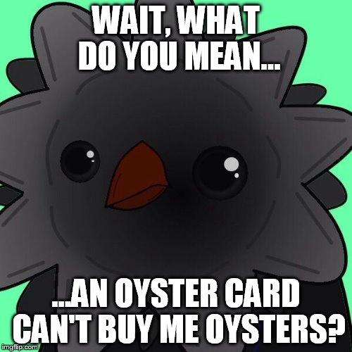 Victa | WAIT, WHAT DO YOU MEAN... ...AN OYSTER CARD CAN'T BUY ME OYSTERS? | image tagged in victa | made w/ Imgflip meme maker