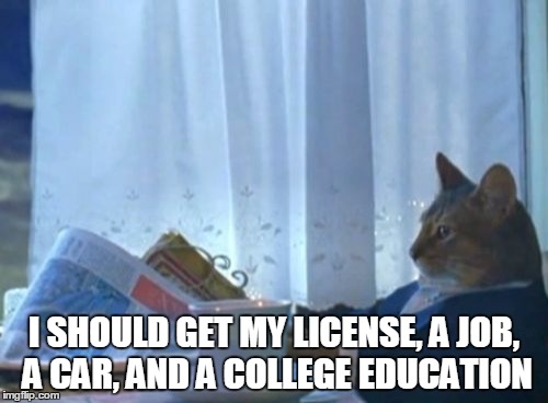 I Should Buy A Boat Cat Meme | I SHOULD GET MY LICENSE, A JOB, A CAR, AND A COLLEGE EDUCATION | image tagged in memes,i should buy a boat cat | made w/ Imgflip meme maker