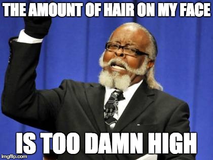 Too Damn High | THE AMOUNT OF HAIR ON MY FACE IS TOO DAMN HIGH | image tagged in memes,too damn high | made w/ Imgflip meme maker