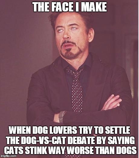 Face You Make Robert Downey Jr Meme | THE FACE I MAKE WHEN DOG LOVERS TRY TO SETTLE THE DOG-VS-CAT DEBATE BY SAYING CATS STINK WAY WORSE THAN DOGS | image tagged in memes,face you make robert downey jr | made w/ Imgflip meme maker