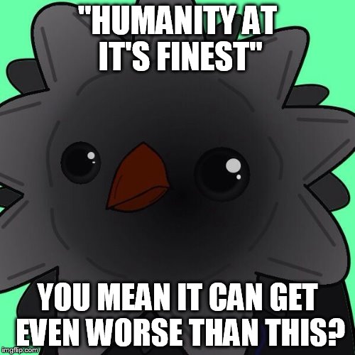 Victa | "HUMANITY AT IT'S FINEST" YOU MEAN IT CAN GET EVEN WORSE THAN THIS? | image tagged in victa | made w/ Imgflip meme maker