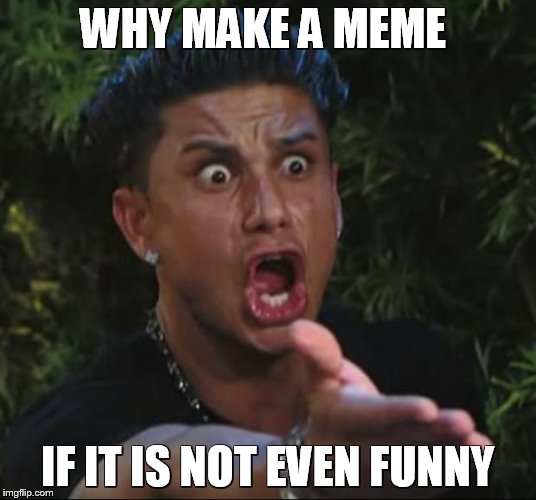DJ Pauly D | WHY MAKE A MEME IF IT IS NOT EVEN FUNNY | image tagged in memes,dj pauly d | made w/ Imgflip meme maker