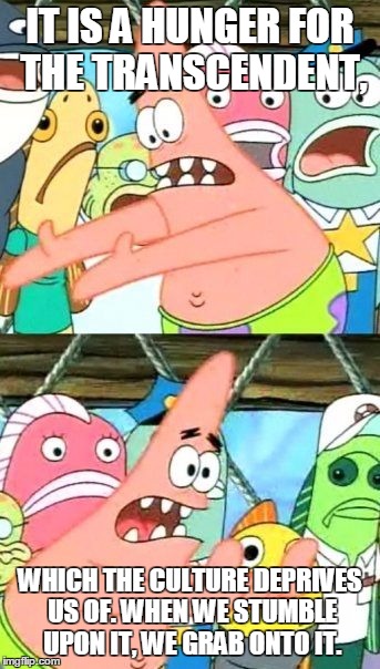Put It Somewhere Else Patrick | IT IS A HUNGER FOR THE TRANSCENDENT, WHICH THE CULTURE DEPRIVES US OF. WHEN WE STUMBLE UPON IT, WE GRAB ONTO IT. | image tagged in memes,put it somewhere else patrick | made w/ Imgflip meme maker
