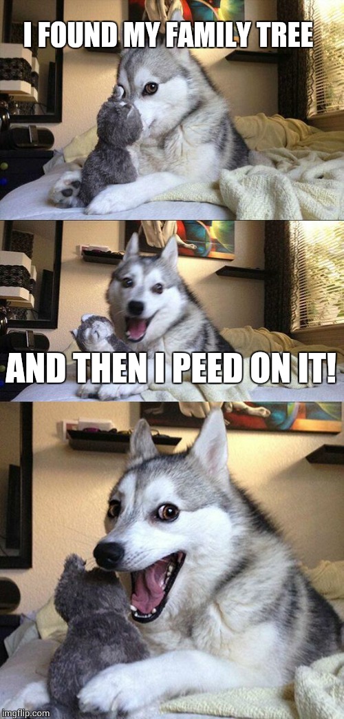 Bad Pun Dog | I FOUND MY FAMILY TREE AND THEN I PEED ON IT! | image tagged in memes,bad pun dog | made w/ Imgflip meme maker