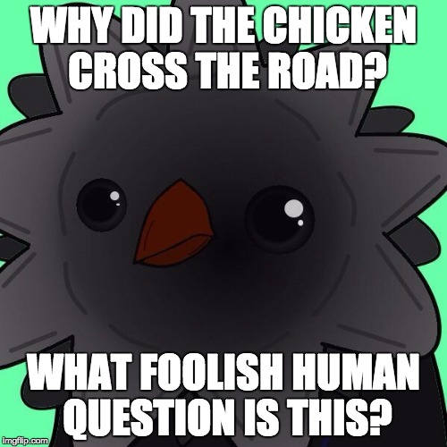 Victa | WHY DID THE CHICKEN CROSS THE ROAD? WHAT FOOLISH HUMAN QUESTION IS THIS? | image tagged in victa | made w/ Imgflip meme maker