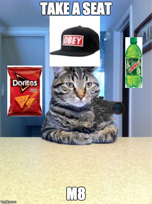 Take A Seat Cat Meme | TAKE A SEAT M8 | image tagged in memes,take a seat cat,mlg | made w/ Imgflip meme maker
