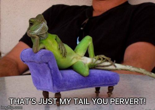 Sassy Iguana | THAT'S JUST MY TAIL YOU PERVERT! | image tagged in memes,sassy iguana | made w/ Imgflip meme maker