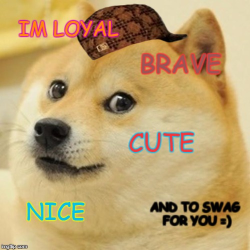 Doge Meme | IM LOYAL BRAVE CUTE NICE AND TO SWAG FOR YOU =) | image tagged in memes,doge,scumbag | made w/ Imgflip meme maker