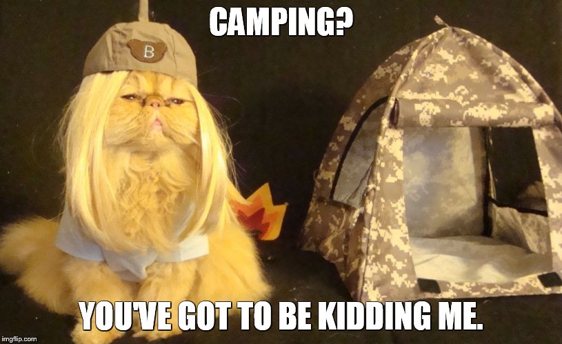 girl scout pappy | CAMPING? YOU'VE GOT TO BE KIDDING ME. | image tagged in kitty,kitteh | made w/ Imgflip meme maker