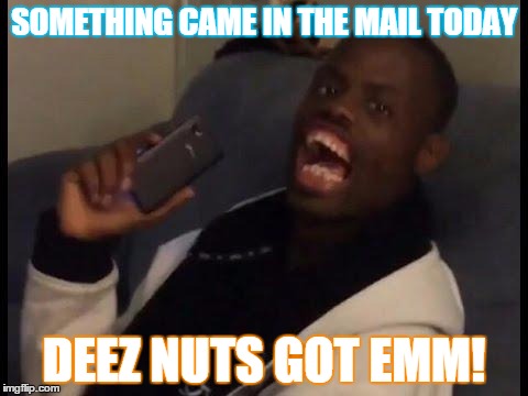 deez nuts | SOMETHING CAME IN THE MAIL TODAY DEEZ NUTS GOT EMM! | image tagged in deez nuts | made w/ Imgflip meme maker