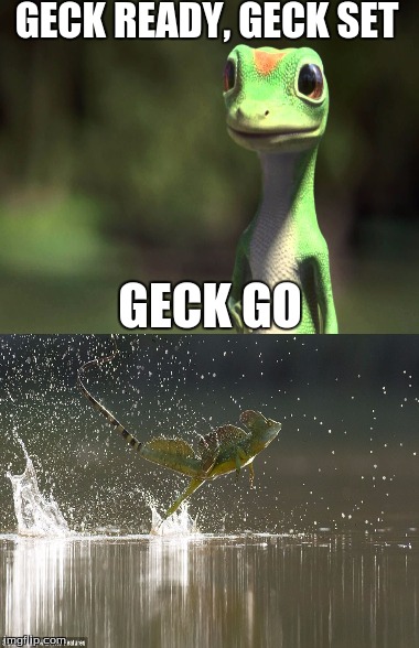Geckgo Gecko  | GECK READY, GECK SET GECK GO | image tagged in geico gecko | made w/ Imgflip meme maker