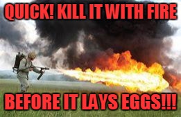 Kill it with fire | QUICK! KILL IT WITH FIRE BEFORE IT LAYS EGGS!!! | image tagged in kill it with fire | made w/ Imgflip meme maker