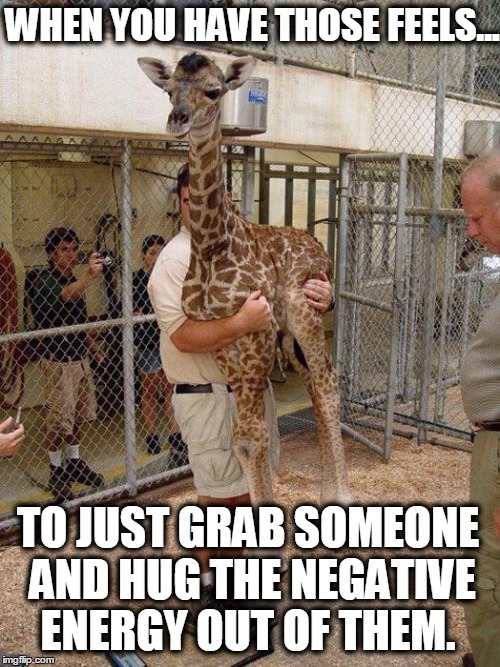 Giraffe Hugging | WHEN YOU HAVE THOSE FEELS... TO JUST GRAB SOMEONE AND HUG THE NEGATIVE ENERGY OUT OF THEM. | image tagged in giraffe hugging | made w/ Imgflip meme maker