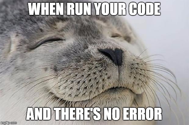 Satisfied Seal Meme | WHEN RUN YOUR CODE AND THERE'S NO ERROR | image tagged in memes,satisfied seal,AdviceAnimals | made w/ Imgflip meme maker