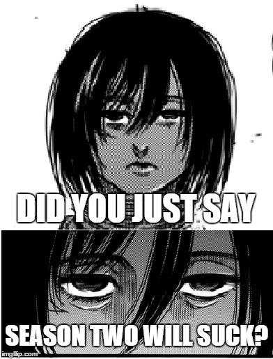 Mikasa's Cock blocking face! | DID YOU JUST SAY SEASON TWO WILL SUCK? | image tagged in attack on titan | made w/ Imgflip meme maker