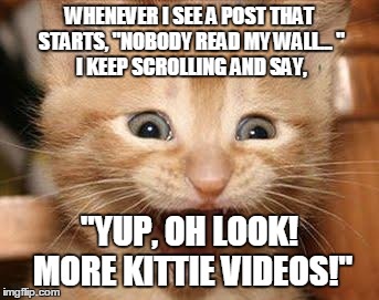 Excited Cat Meme | WHENEVER I SEE A POST THAT STARTS, "NOBODY READ MY WALL...
" I KEEP SCROLLING AND SAY, "YUP, OH LOOK! MORE KITTIE VIDEOS!" | image tagged in memes,excited cat | made w/ Imgflip meme maker
