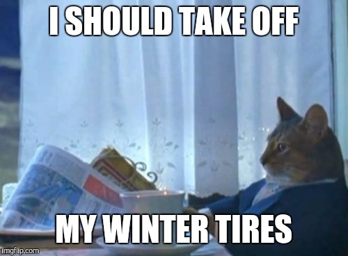 I Should Buy A Boat Cat | I SHOULD TAKE OFF MY WINTER TIRES | image tagged in memes,i should buy a boat cat,AdviceAnimals | made w/ Imgflip meme maker