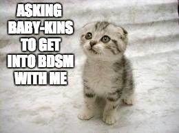 Sad Cat | ASKING BABY-KINS TO GET INTO BDSM WITH ME | image tagged in memes,sad cat | made w/ Imgflip meme maker