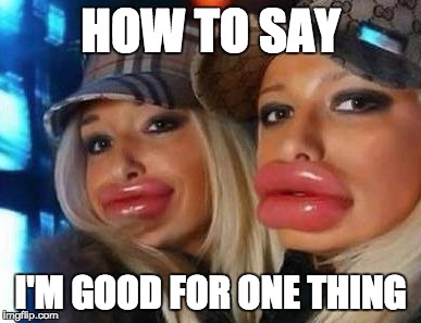 Duck Face Chicks Meme | HOW TO SAY I'M GOOD FOR ONE THING | image tagged in memes,duck face chicks | made w/ Imgflip meme maker