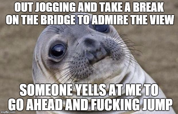 Awkward Moment Sealion Meme | OUT JOGGING AND TAKE A BREAK ON THE BRIDGE TO ADMIRE THE VIEW SOMEONE YELLS AT ME TO GO AHEAD AND F**KING JUMP | image tagged in memes,awkward moment sealion,AdviceAnimals | made w/ Imgflip meme maker