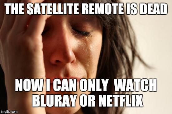 First World Problems | THE SATELLITE REMOTE IS DEAD NOW I CAN ONLY  WATCH BLURAY OR NETFLIX | image tagged in memes,first world problems | made w/ Imgflip meme maker
