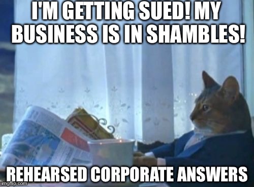 I Should Buy A Boat Cat Meme | I'M GETTING SUED! MY BUSINESS IS IN SHAMBLES! REHEARSED CORPORATE ANSWERS | image tagged in memes,i should buy a boat cat | made w/ Imgflip meme maker