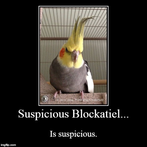 Suspicious. Very Suspicious. | image tagged in funny,demotivationals | made w/ Imgflip demotivational maker