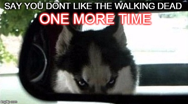 twd dog | SAY YOU DONT LIKE THE WALKING DEAD ONE MORE TIME | image tagged in the walking dead | made w/ Imgflip meme maker