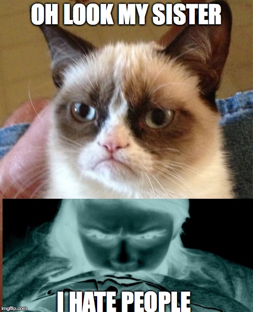 Grumpy Cat | OH LOOK MY SISTER I HATE PEOPLE | image tagged in memes,grumpy cat | made w/ Imgflip meme maker