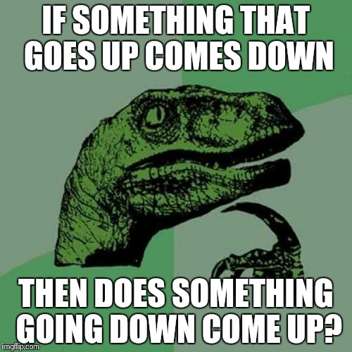 Philosoraptor | IF SOMETHING THAT GOES UP COMES DOWN THEN DOES SOMETHING GOING DOWN COME UP? | image tagged in memes,philosoraptor | made w/ Imgflip meme maker