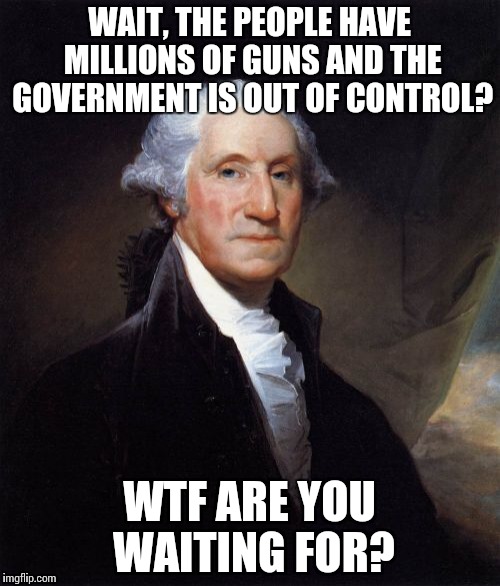 George Washington | WAIT, THE PEOPLE HAVE MILLIONS OF GUNS AND THE GOVERNMENT IS OUT OF CONTROL? WTF ARE YOU WAITING FOR? | image tagged in memes,george washington | made w/ Imgflip meme maker