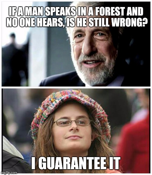 IF A MAN SPEAKS IN A FOREST AND NO ONE HEARS, IS HE STILL WRONG? I GUARANTEE IT | image tagged in i guarantee it,the most interesting man in the world,college liberal | made w/ Imgflip meme maker