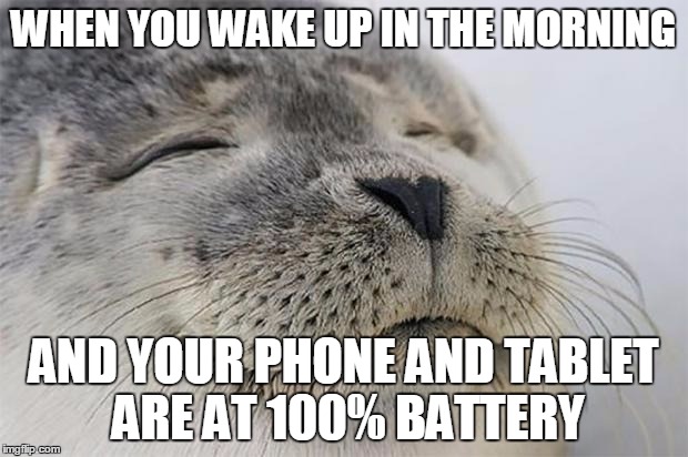 Satisfied Seal | WHEN YOU WAKE UP IN THE MORNING AND YOUR PHONE AND TABLET ARE AT 100% BATTERY | image tagged in memes,satisfied seal,AdviceAnimals | made w/ Imgflip meme maker