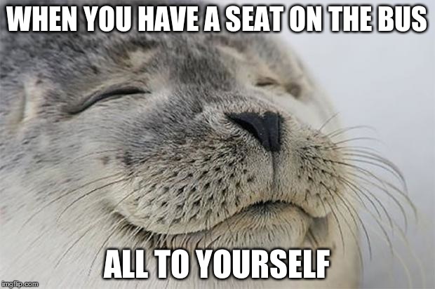 Satisfied Seal | WHEN YOU HAVE A SEAT ON THE BUS ALL TO YOURSELF | image tagged in memes,satisfied seal | made w/ Imgflip meme maker