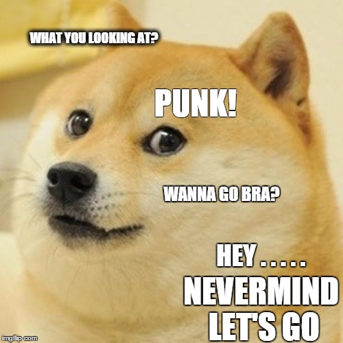 Doge | WHAT YOU LOOKING AT? PUNK! WANNA GO BRA? HEY . . . . . NEVERMIND LET'S GO | image tagged in memes,doge | made w/ Imgflip meme maker