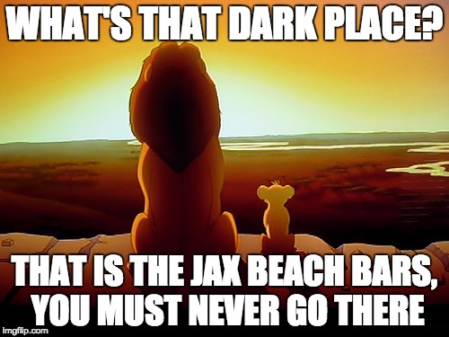 Lion King | WHAT'S THAT DARK PLACE? THAT IS THE JAX BEACH BARS, YOU MUST NEVER GO THERE | image tagged in memes,lion king | made w/ Imgflip meme maker