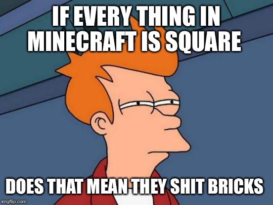 Futurama Fry Meme | IF EVERY THING IN MINECRAFT IS SQUARE DOES THAT MEAN THEY SHIT BRICKS | image tagged in memes,futurama fry | made w/ Imgflip meme maker