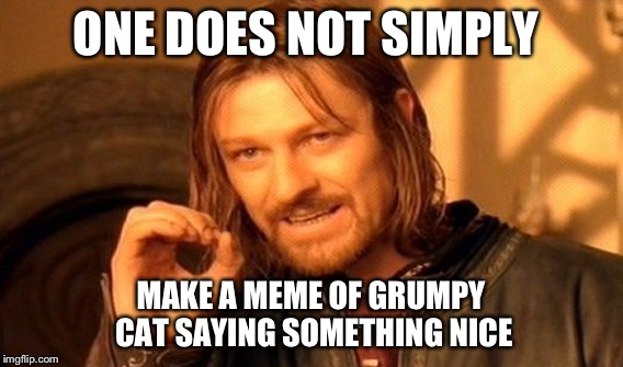 One Does Not Simply Meme | ONE DOES NOT SIMPLY MAKE A MEME OF GRUMPY CAT SAYING SOMETHING NICE | image tagged in memes,one does not simply | made w/ Imgflip meme maker