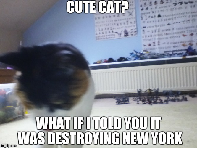 Cute cat? | CUTE CAT? WHAT IF I TOLD YOU IT WAS DESTROYING NEW YORK | image tagged in cute cat | made w/ Imgflip meme maker
