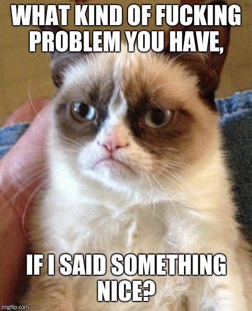 Grumpy Cat Meme | WHAT KIND OF F**KING PROBLEM YOU HAVE, IF I SAID SOMETHING NICE? | image tagged in memes,grumpy cat | made w/ Imgflip meme maker