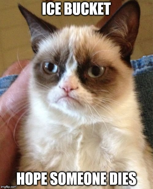 Grumpy Cat Meme | ICE BUCKET HOPE SOMEONE DIES | image tagged in memes,grumpy cat | made w/ Imgflip meme maker